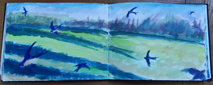 Swallows At Escot - Sketchbook Landscape
