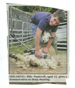 Farming - Shearing