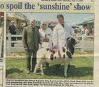 Animals-Show - Caprine/Ovine