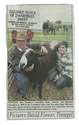 Animals-Show - Caprine/Ovine