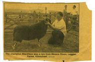 Animals-Show - Caprine/Ovine