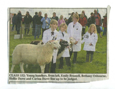 Animals-Show - Caprine/Ovine