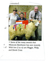 Animals-Show - Caprine/Ovine