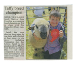 Animals-Show - Caprine/Ovine