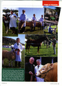 Animals-Show - Others