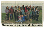 Community Issues - Amenities