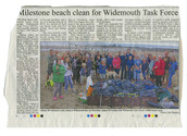 Community Issues - Litter/Pollution/Cleaning