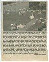 Community Issues - Litter/Pollution/Cleaning