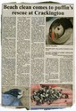 Community Issues - Litter/Pollution/Cleaning