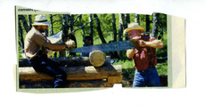 Craft - Wood