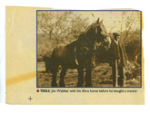 Farming - Equine