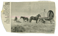 Farming - Equine