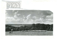 Farming - Ovine