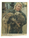 Farming - Ovine