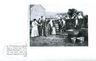 Farming - Ovine