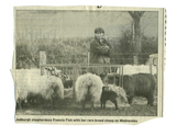 Farming - Ovine