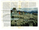 Farming - Ovine