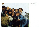 Farming - Ovine