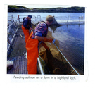 Farming - Sea