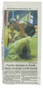 Farming - Shearing