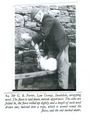 Farming - Shearing