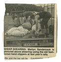 Farming - Shearing