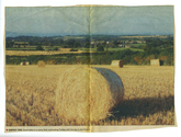 Farming - Working Landscape