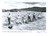 Farming - Working Landscape