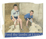 Farming - Young