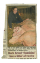 Farming - Young