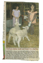 Farming - Young