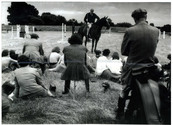 Groups - Audience