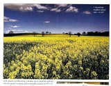 Places - Landscapes-Views